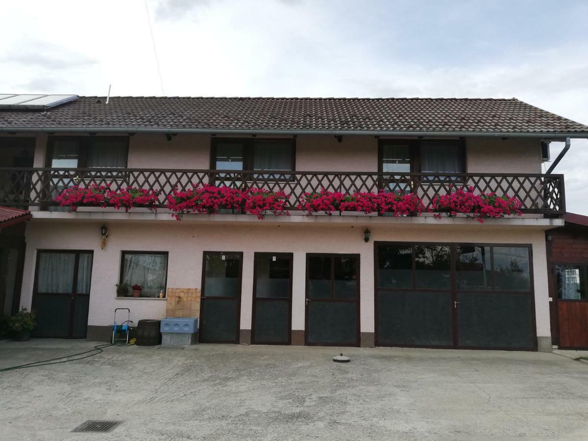 Hotel T.S.G. Simanovic Klinca Sela Exterior foto